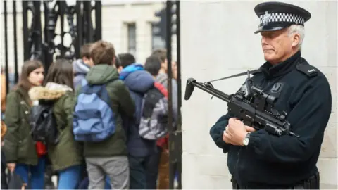 Getty Images A Met Police firearms officer in Westminster