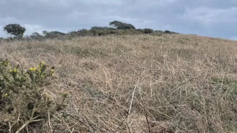 Mike Brown Land at Les Tielles