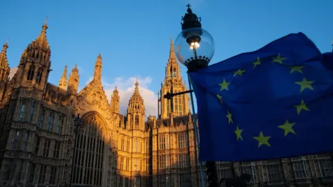 Getty Images EU flag at Westminster