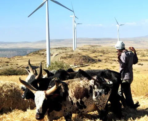 AFP A man works along a road near turbines at Ashegoda wind farm in Ethiopia's northern Tigray region, on November 28, 2013