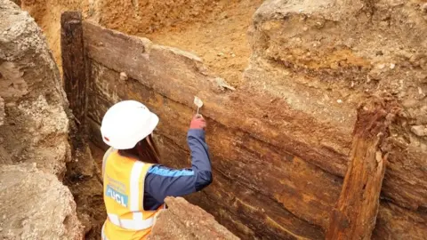 Archaeology South-East/UCL Timber structure