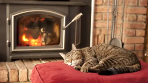 Getty Images Cat in front of fireplace