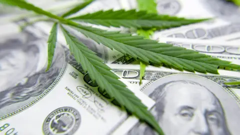 Cannabis leaf and a dollar bill