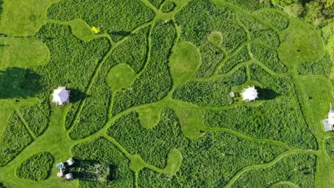 Cool Camping aerial view of tents very spread out in Norfolk