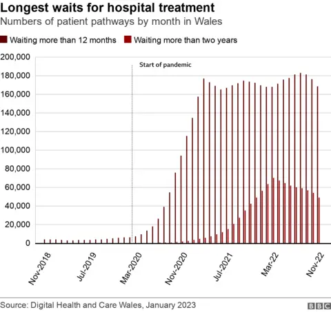 Longest waits for hospital treatment