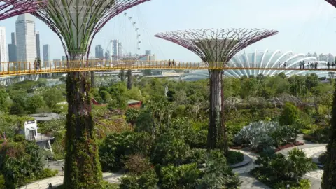 Botanic Gardens Conservation International Singapore Gardens by the bay