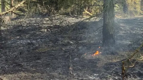 Northumberland Fire and Rescue Kyloe Woods