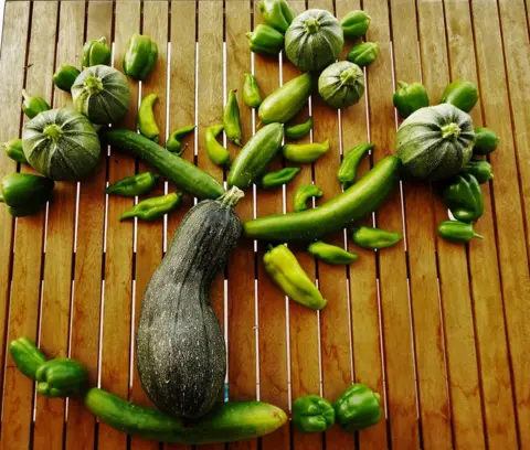 Lia Mageira Vegetable tree