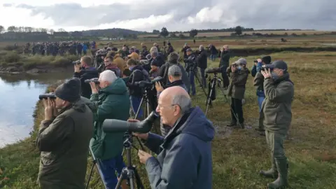 Mark Golley Birdwatchers