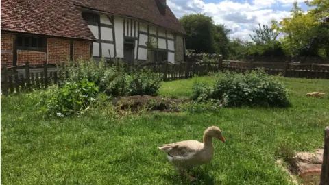 Mary Arden's Farm