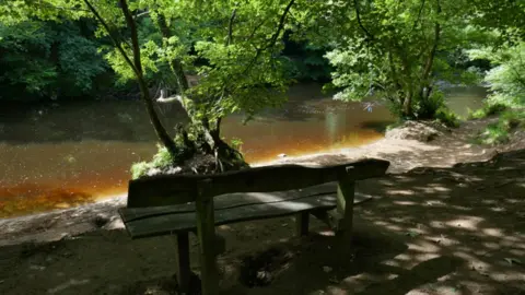 Memorial Bench Stories blog Bench dedicated to Dame Thora Hird at Knaresborough