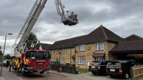Essex Fire and Rescue Service Fire crews rescuing the cat