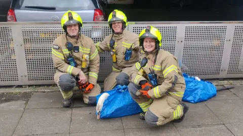 LFB Firefighters smile and pose with the rescued swan called Steve, who is wrapped in a blue Ikea bag