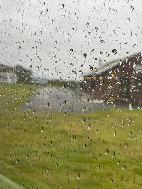 Sunflower/BBC Weather Watchers Port Logan