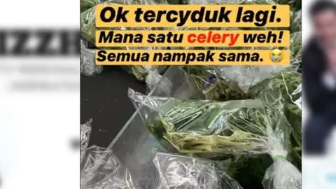 TWITTER/@IZZHARNAZRI Image of vegetables with the words 'Which is the celery' and a crying emoji over them