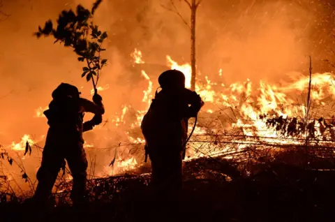 Getty Images Firefighters in El Hatillo, Honduras, wearing protective suits, but beating flames with branches (2019)