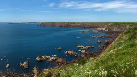 Delyth Williams Sweeping view of the bay and coastal cliffs