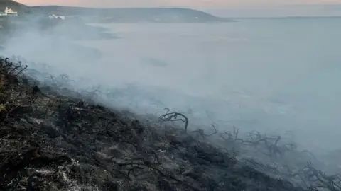 Devon and Somerset Fire and Rescue Service Scorched ground