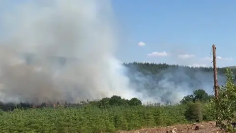 Smoke from fire