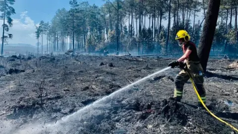 DWFRS Wareham fire - Bank Holiday Monday