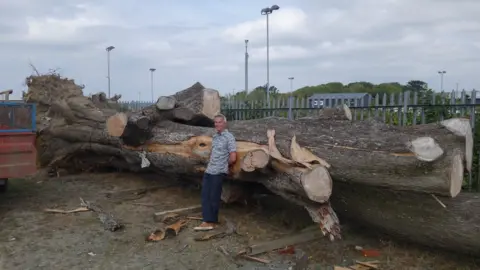 BBC Jonathan Walter with tree