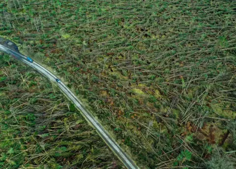 Jeff J Mitchell/Getty Trees down at Edzell