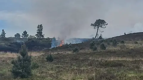 Canford Heath fire