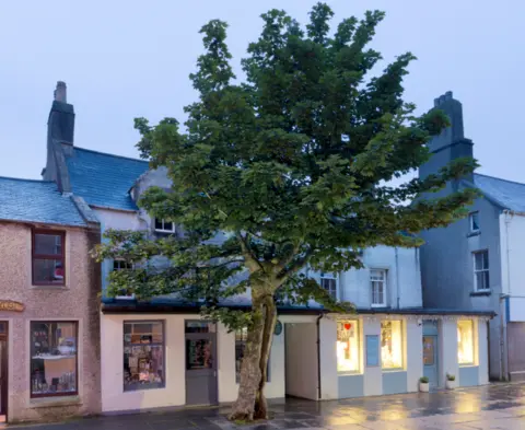 Mark Ferguson The Big Tree, Kirkwall, Orkney