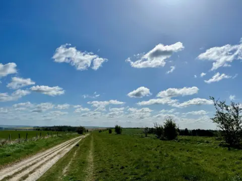 Alison Hardisty THURSDAY - East Hendred