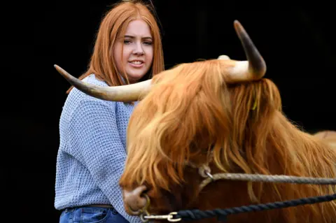 Jeff J Mitchell/Getty Images Laura Hunter from Barnhill farm, Shotts, prepares two-year-old Bo