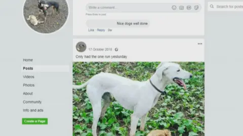 Facebook Facebook page showing a dog with a dead animal