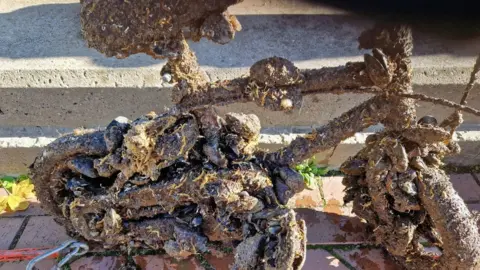 Ian Platt Child's bike