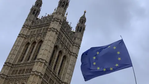 Getty Images Parliament