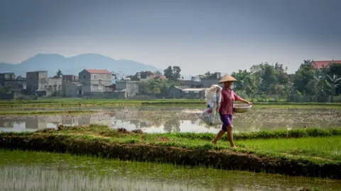 BBC Vietnamese farmer carrying fertilizer