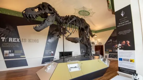 Wollaton Hall Titus on display at Wollaton Hall