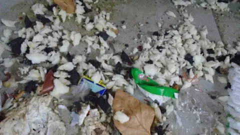 Swindon Borough Council Nesting material and rat droppings found on the shop floor in front of the meat counter