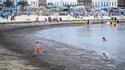 Getty Images Seaweed on Weymouth beach