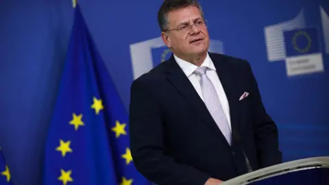 EPA/FRANCISCO SECO Maros Sefcovic