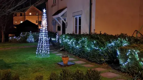 Christmas lights decorating a front garden.