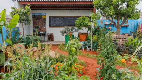 RHS/Sarah Cuttle Chelsea Flower Show