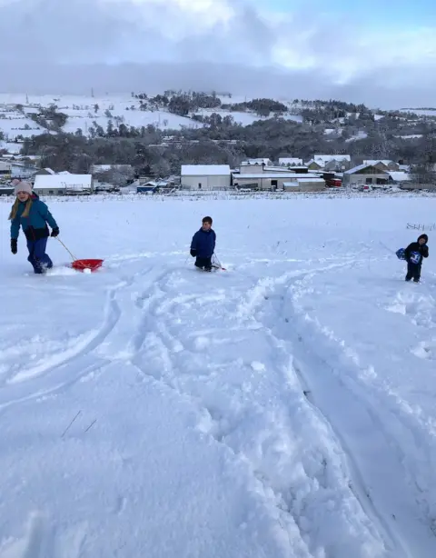 Sledging