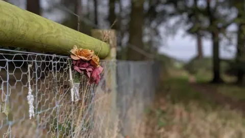 Flowers on fence