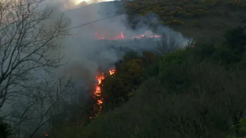 BBC Gorse fire on Cave Hill