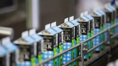 Guernsey Dairy Guernsey milk