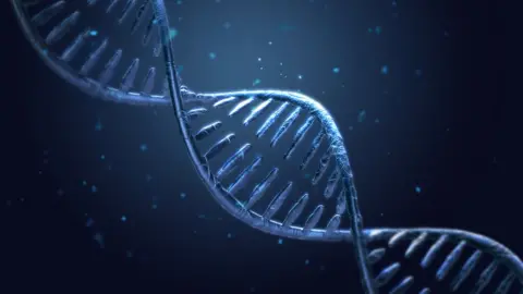 DNA DNA