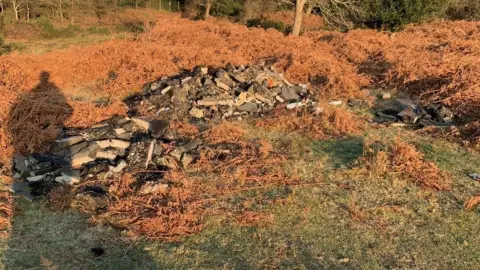 Forestry England Flytipping Brockenhurst