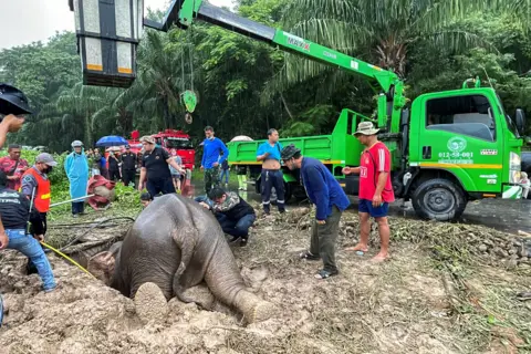 TAANRUUAMCHON / REUTERS Rescue workers use a crane to lift up an elephant after it fell into a hole in Khao Yai National Park, Nakhon Nayok province, Thailand, 13 July 2022.