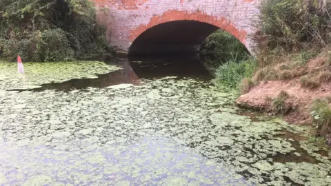 Guy Campbell/BBC A view of the water at Ufford