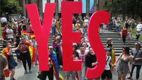 EPA People celebrate after the announcement of the same-sex marriage postal survey result