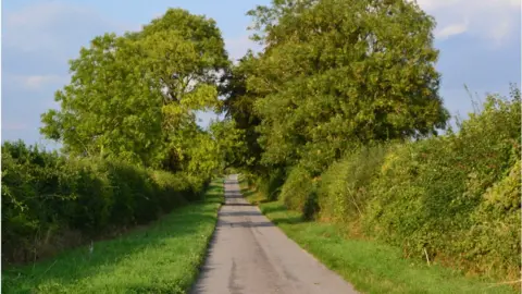 Newton Lane, Newton Stacey